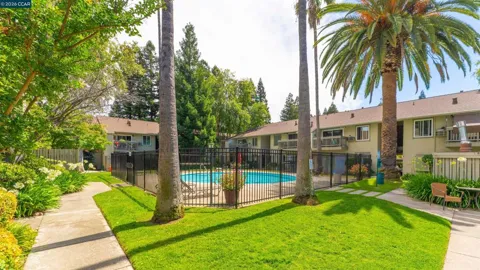 1241 Homestead #211
