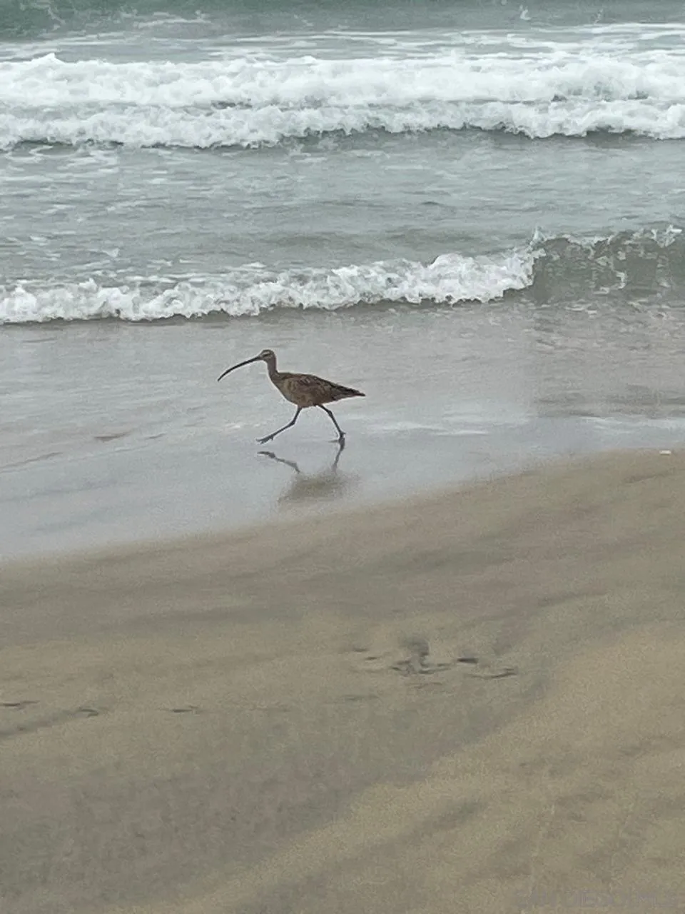 21 C Oceano Pacifico Other, CA 99999