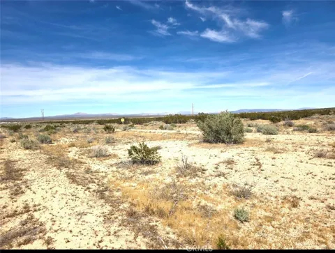 La Bonita