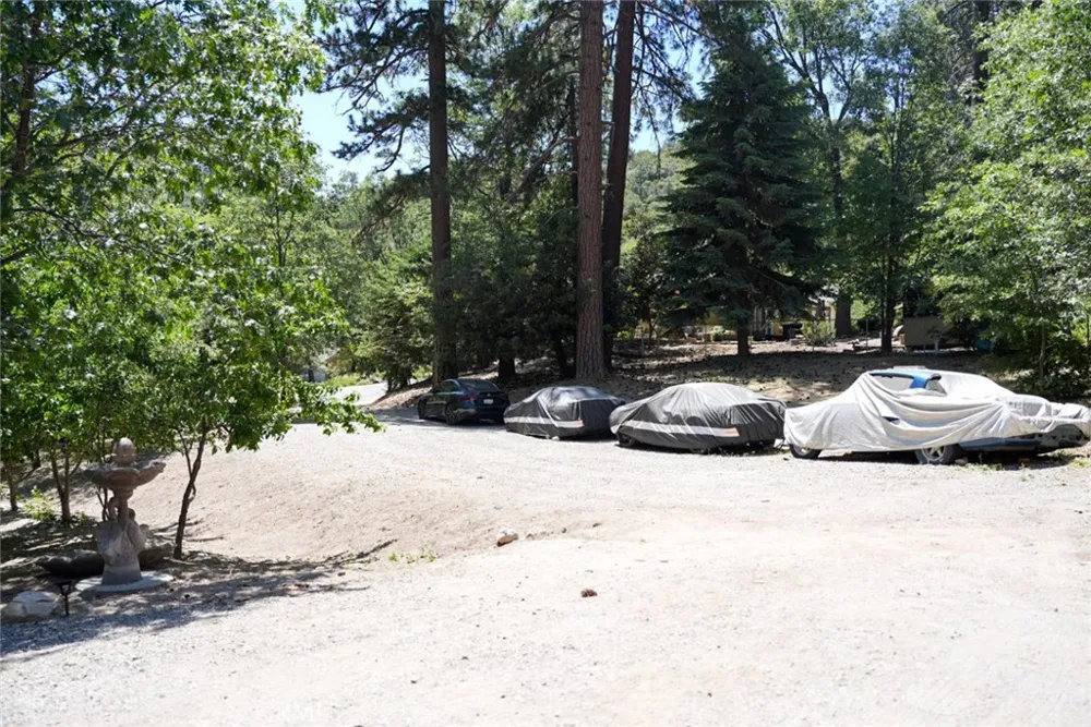 5865 Mountain Home Creek Road Angelus Oaks, CA 92305