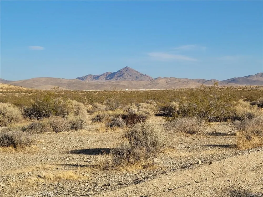 Buckboard Parcel #0419-031-02 Road Barstow, CA 92311