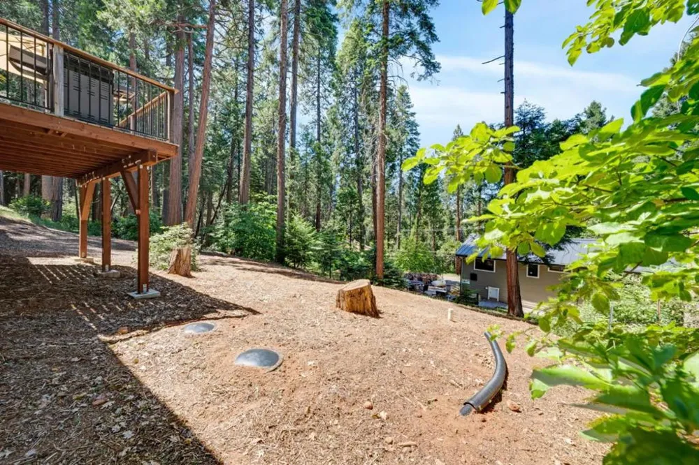 3884 Opal Trail Pollock Pines, CA 95726