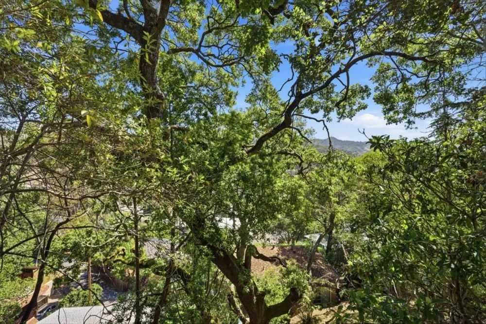 30 Fair Drive San Rafael, CA 94901