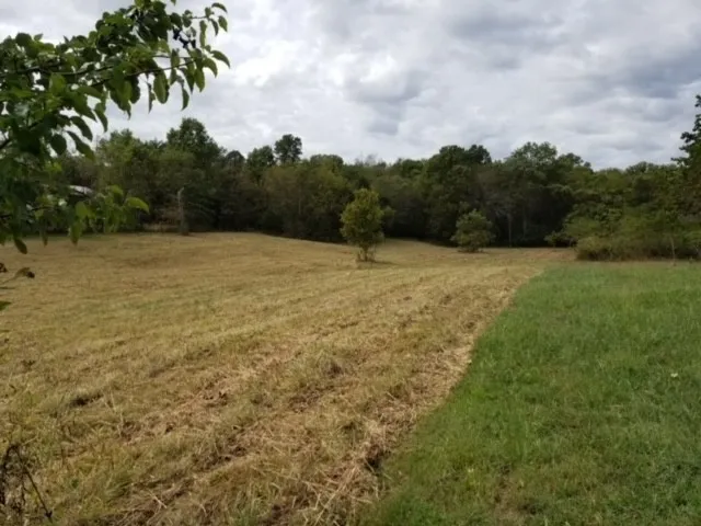0 Harsh Ln Castalian Springs, TN 37031