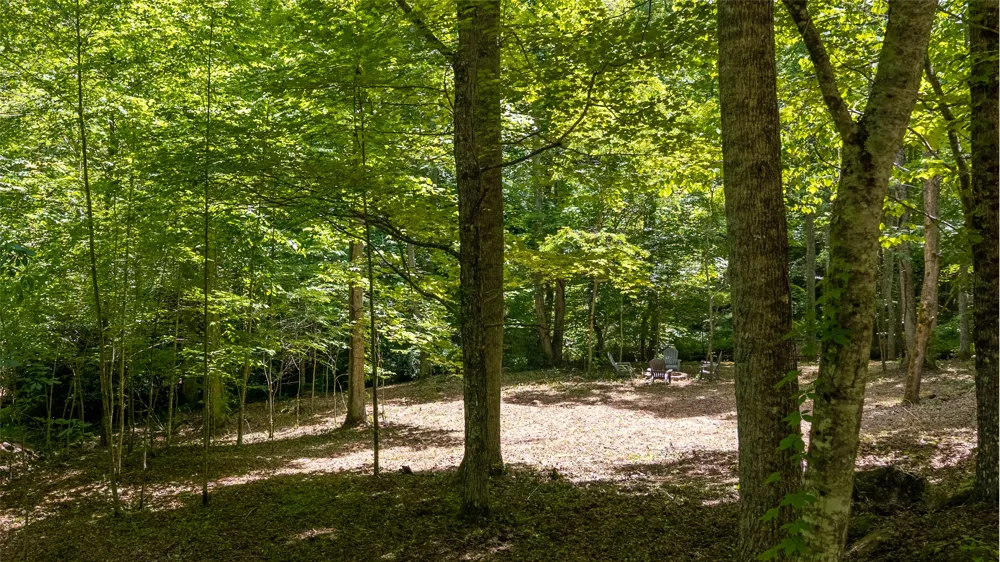 2530 Pilot Knob Road Glenville, NC 28736