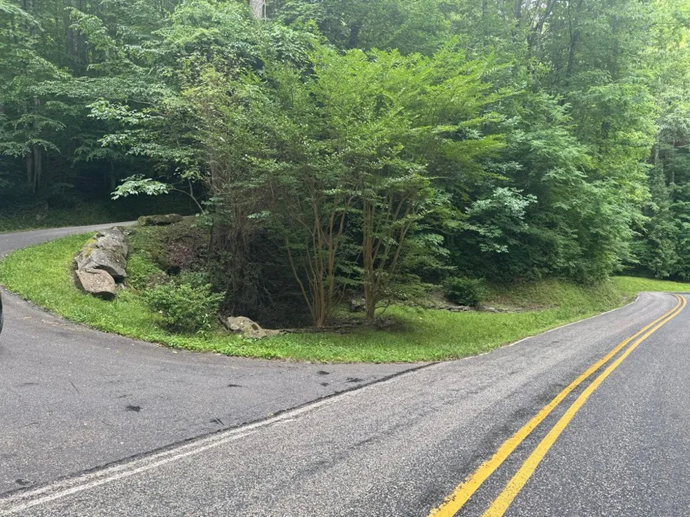 Timber Crest Trail Robbinsville, NC 28771