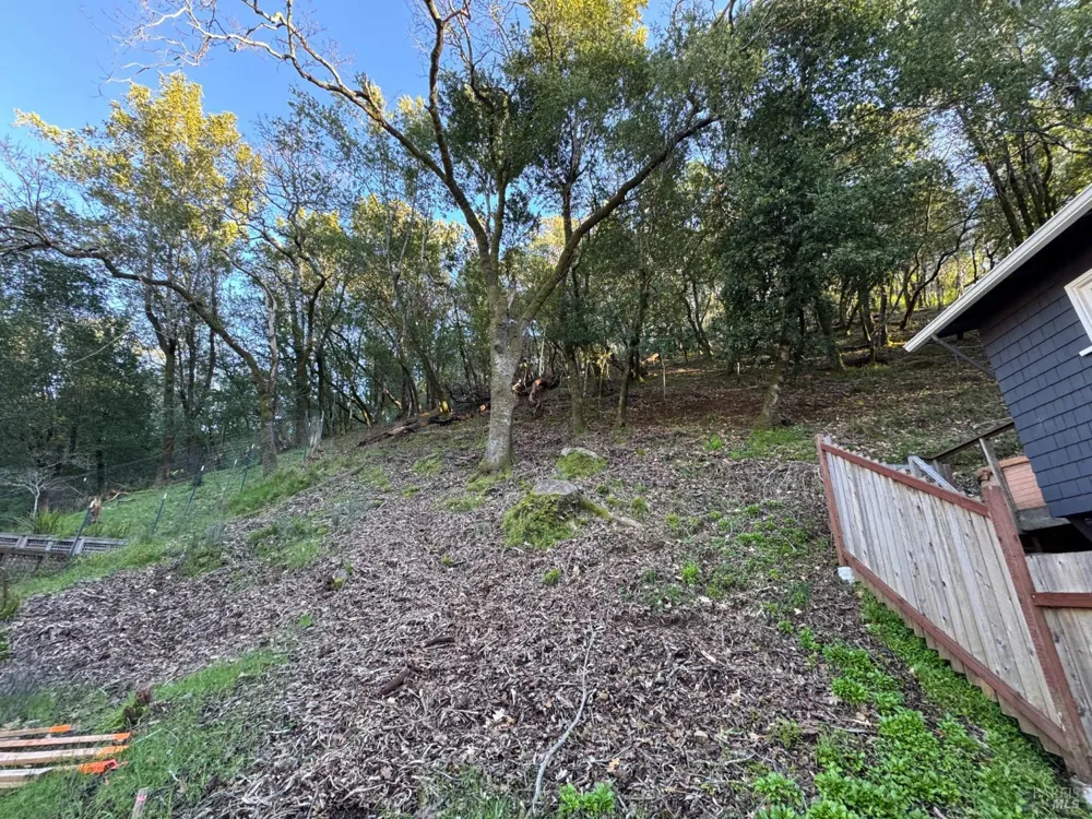59 Wood Lane Fairfax, CA 94930