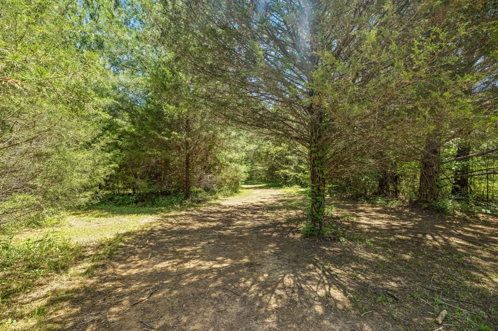 341 County Road 782 Etowah, TN 37331
