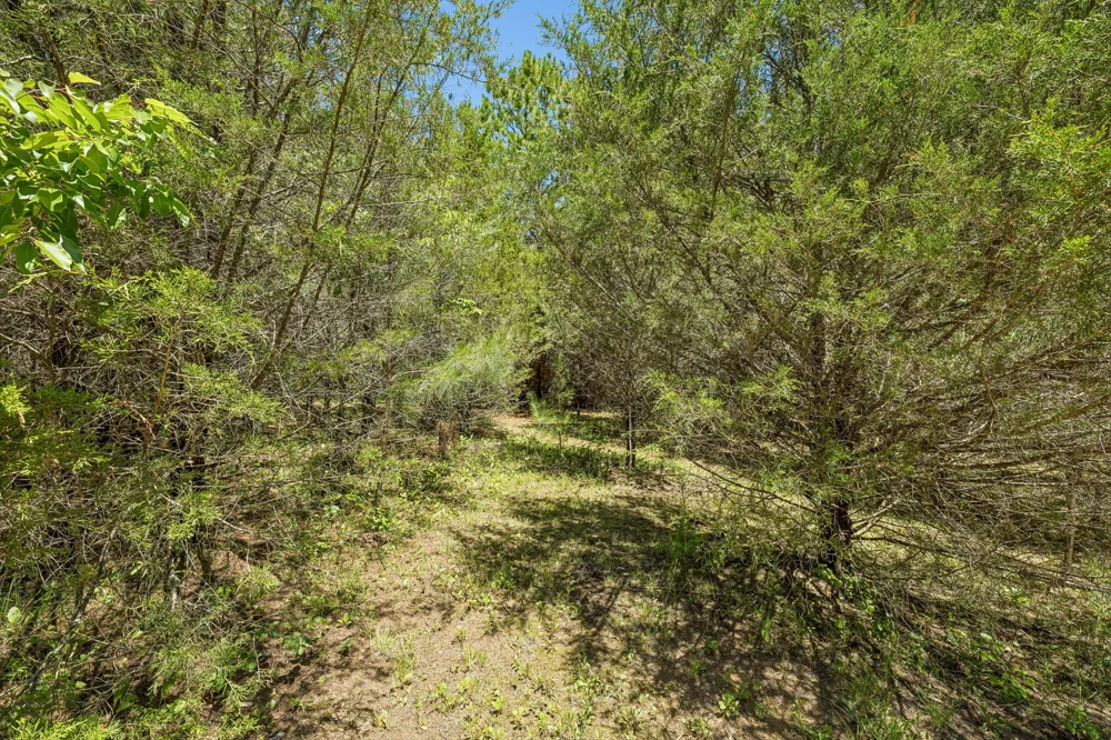 341 County Road 782 Etowah, TN 37331