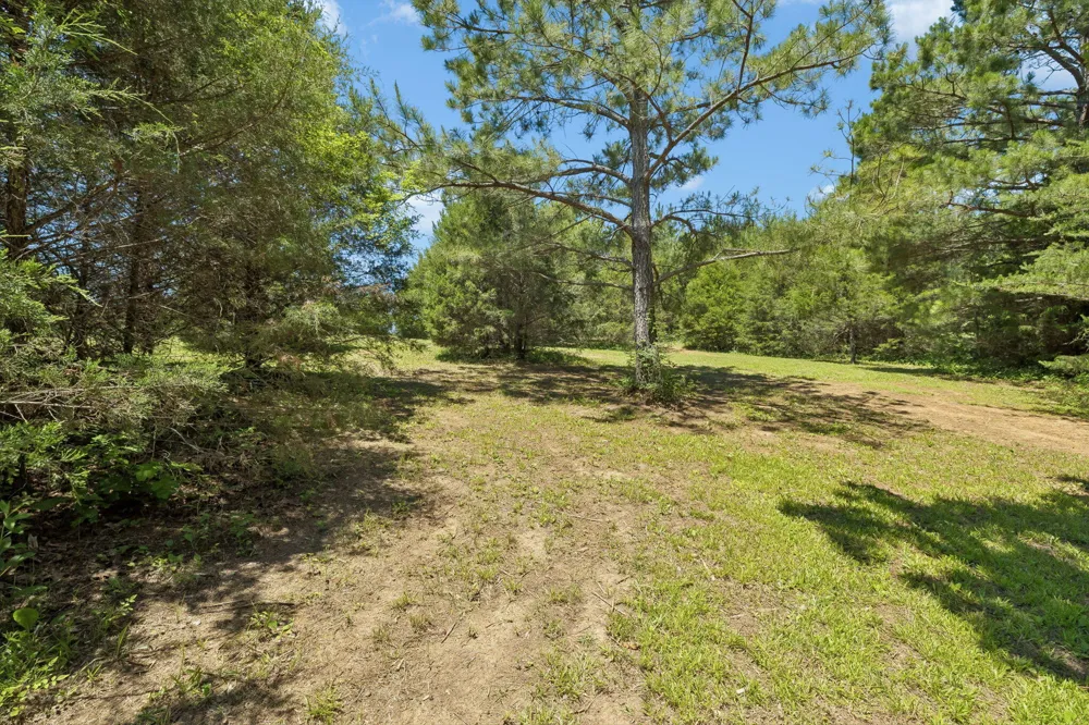 341 County Road 782 Etowah, TN 37331