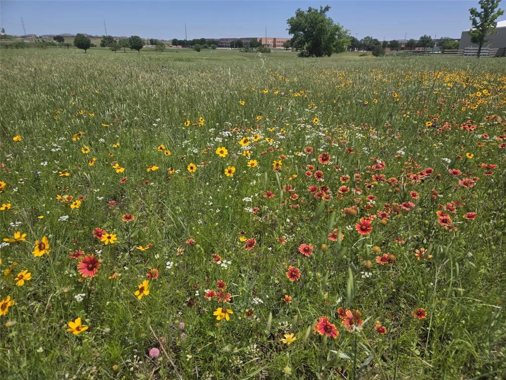 Savanna Drive Rhome, TX 76078