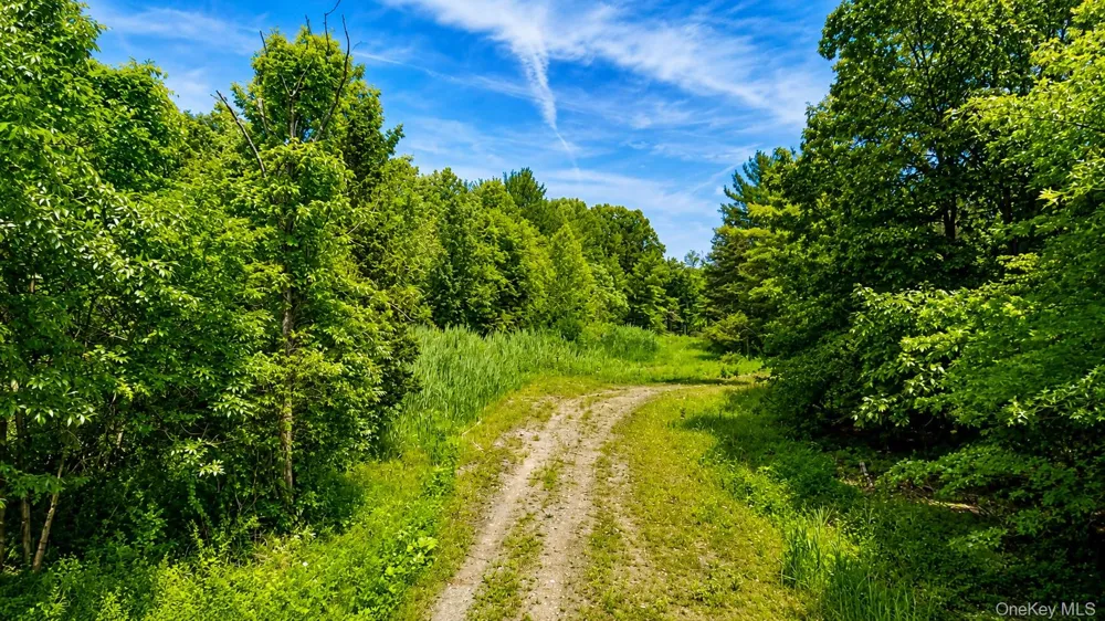15 Deer Run West Catskill, NY 12414