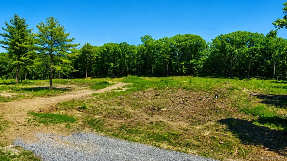 15 Deer Run West Catskill, NY 12414