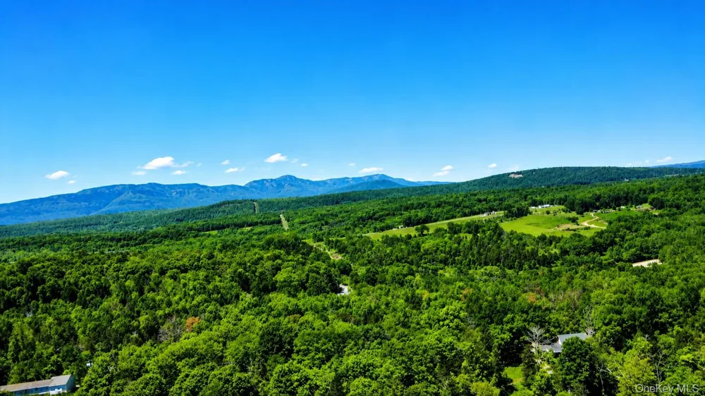 7 Deer Run West Catskill, NY 12414