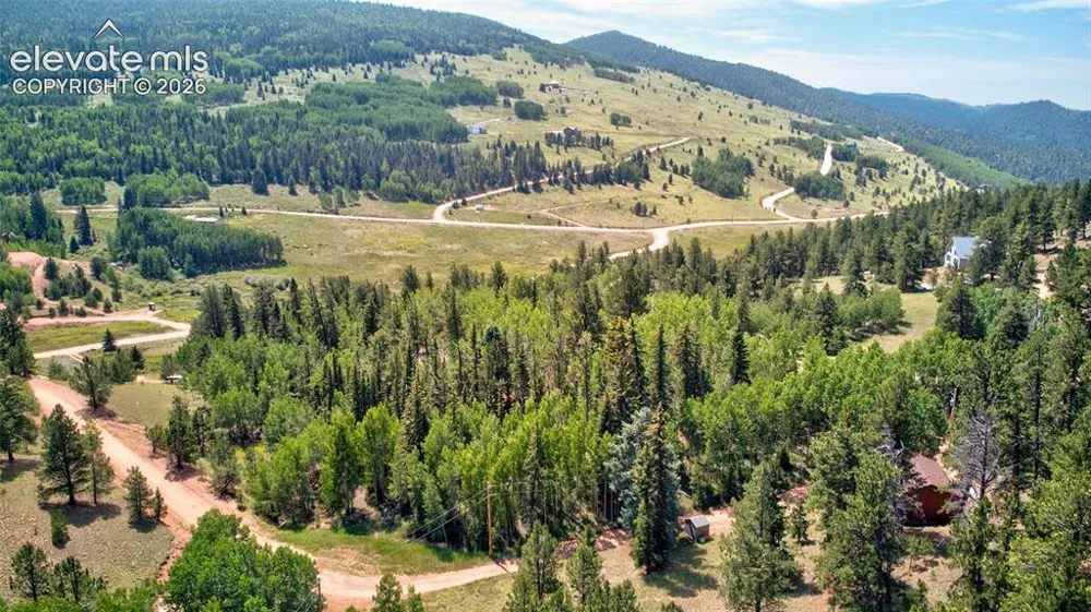 158 Rattler Court Cripple Creek, CO 80813