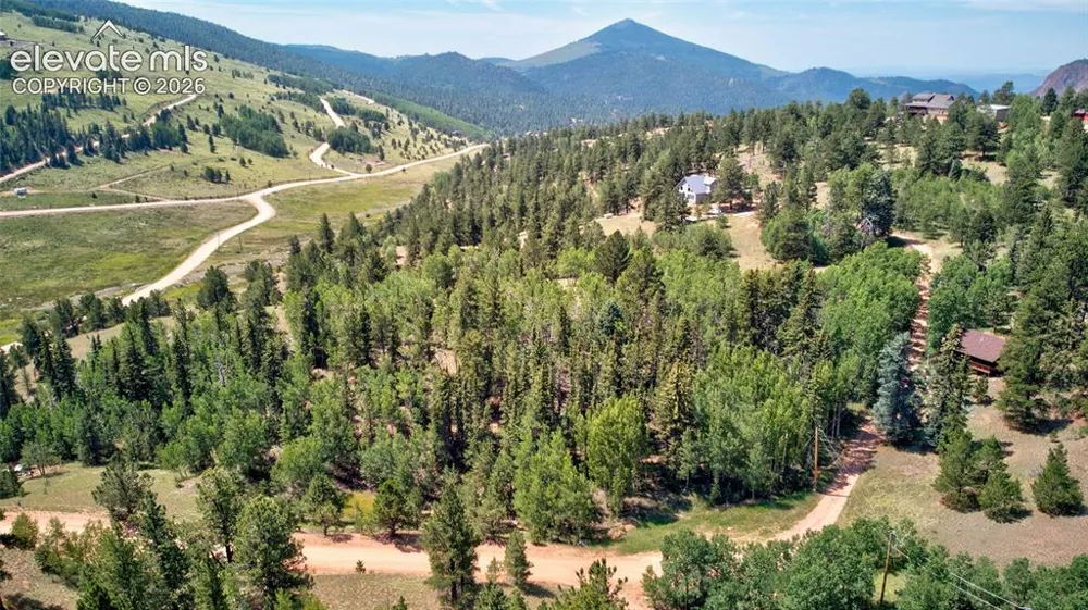 158 Rattler Court Cripple Creek, CO 80813