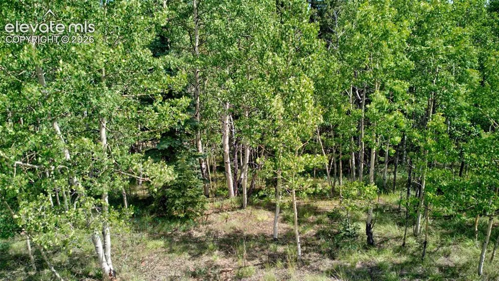 158 Rattler Court Cripple Creek, CO 80813