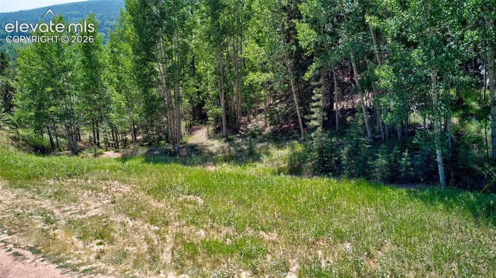 158 Rattler Court Cripple Creek, CO 80813