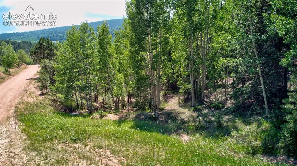 158 Rattler Court Cripple Creek, CO 80813