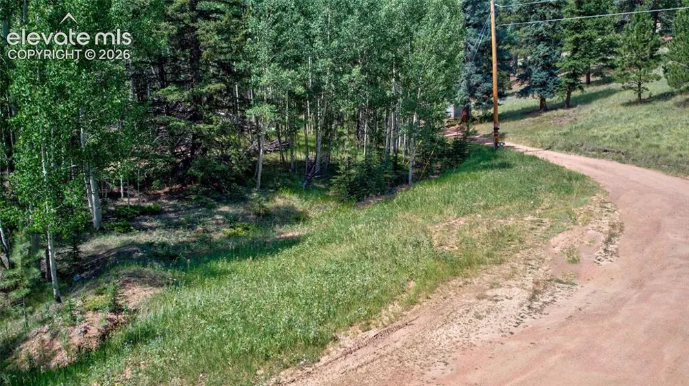 158 Rattler Court Cripple Creek, CO 80813