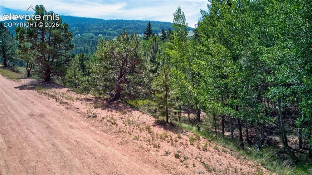 158 Rattler Court Cripple Creek, CO 80813