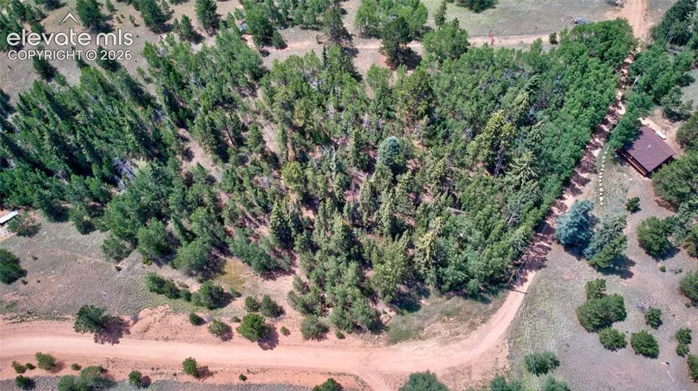 158 Rattler Court Cripple Creek, CO 80813