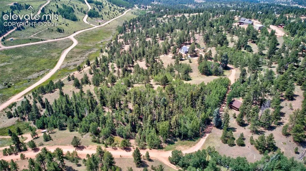 158 Rattler Court Cripple Creek, CO 80813