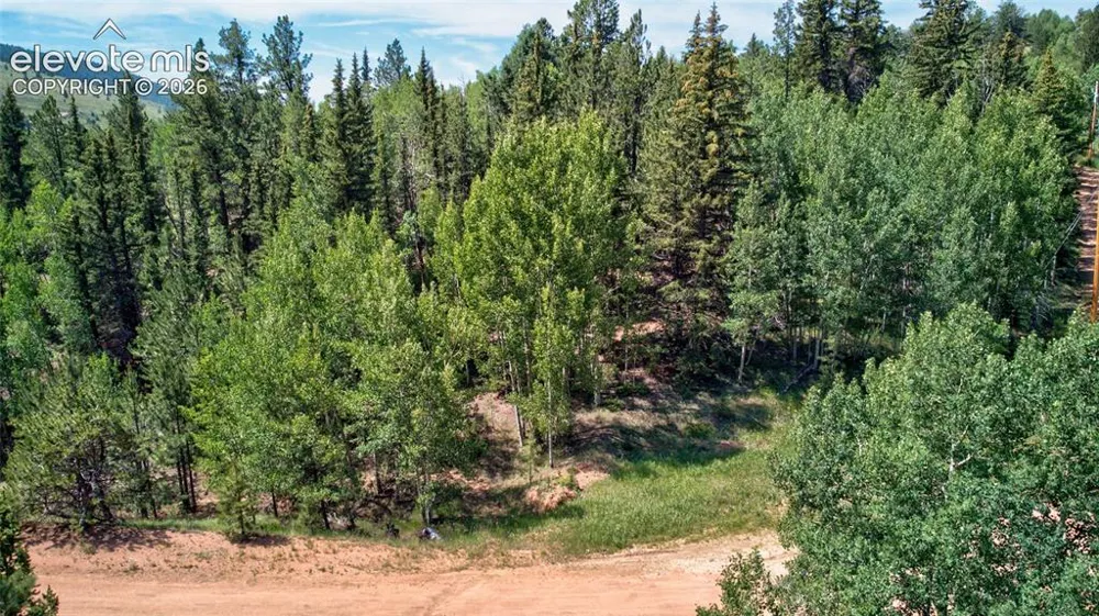 158 Rattler Court Cripple Creek, CO 80813
