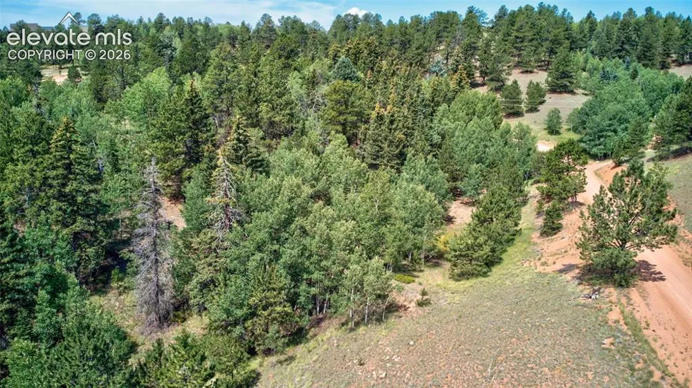 158 Rattler Court Cripple Creek, CO 80813