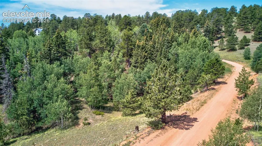 158 Rattler Court Cripple Creek, CO 80813
