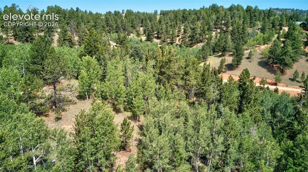 158 Rattler Court Cripple Creek, CO 80813