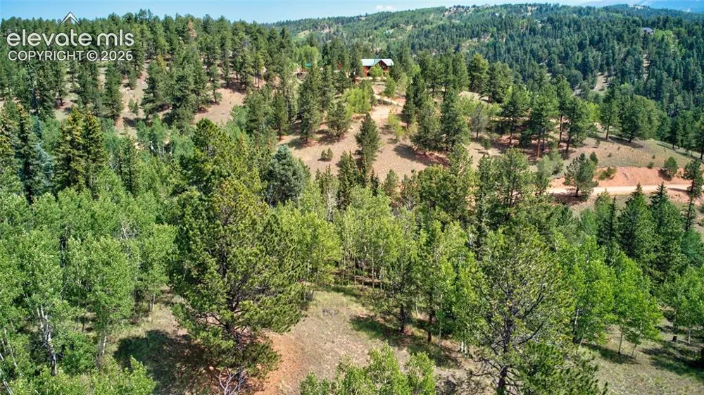 158 Rattler Court Cripple Creek, CO 80813