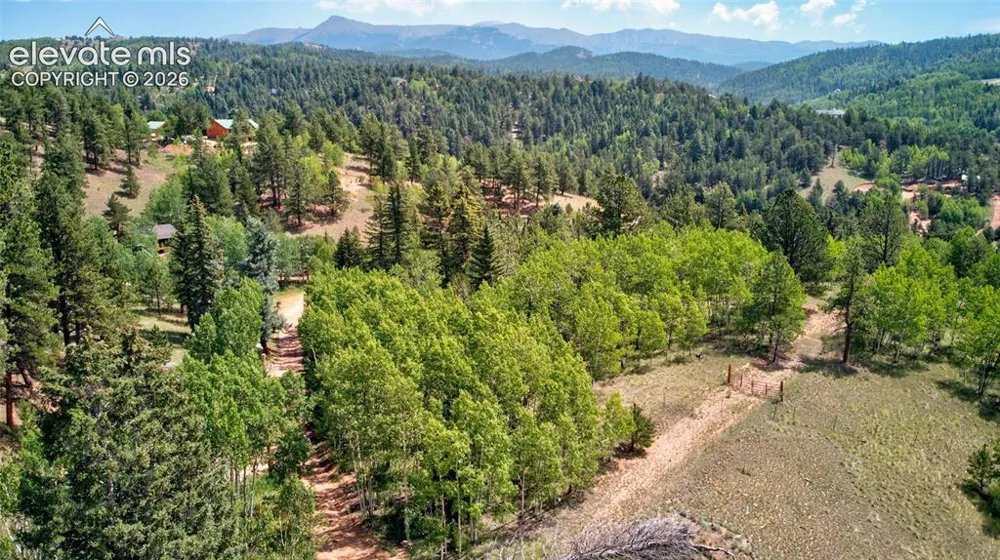 158 Rattler Court Cripple Creek, CO 80813