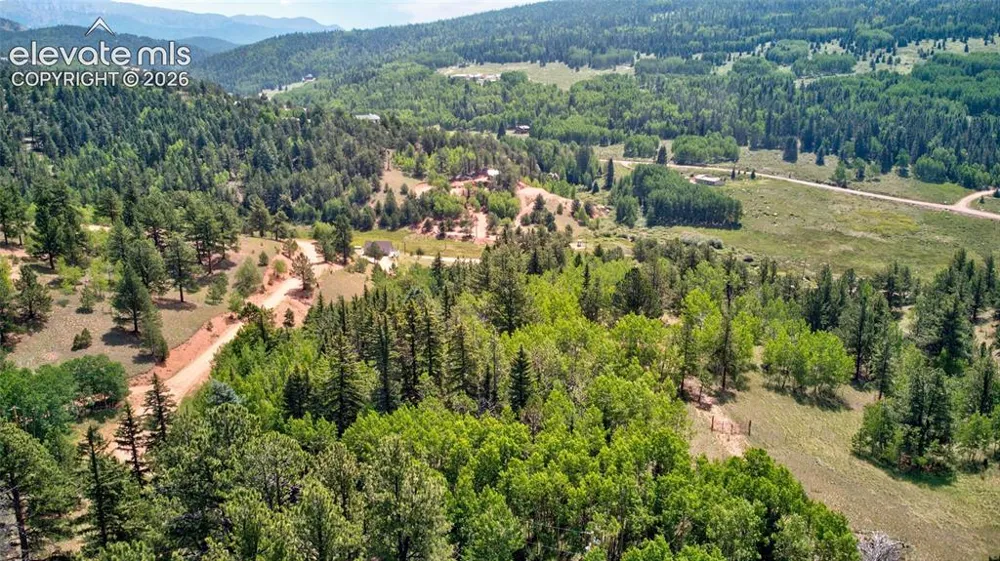 158 Rattler Court Cripple Creek, CO 80813