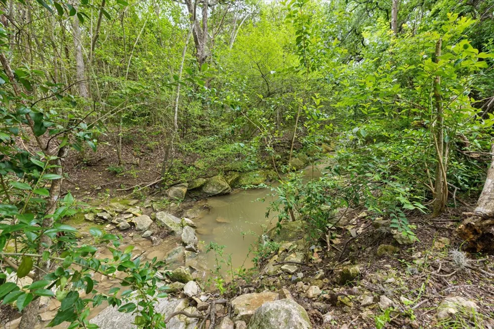 2113 Thornton Road Austin, TX 78704