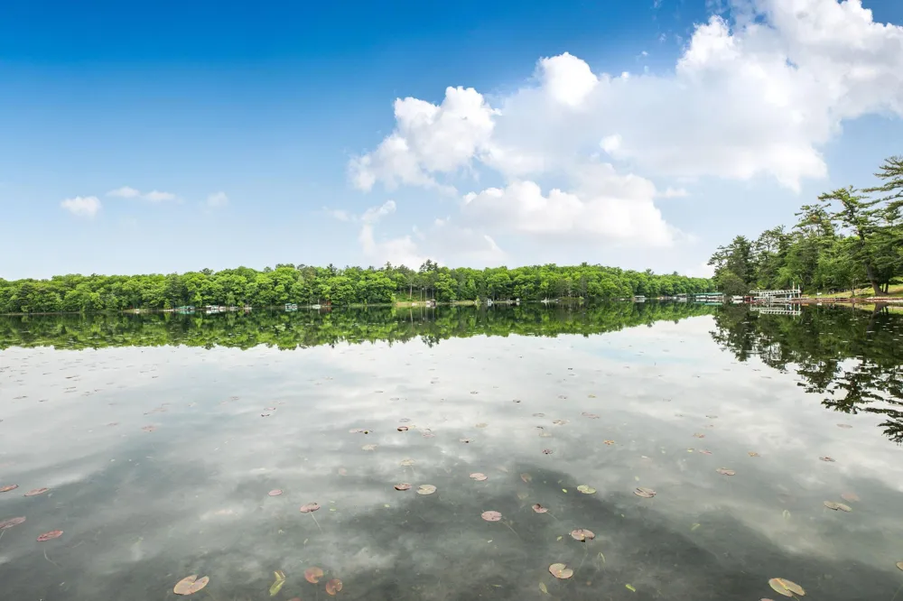 23696 Warren Lane Deerwood, MN 56444