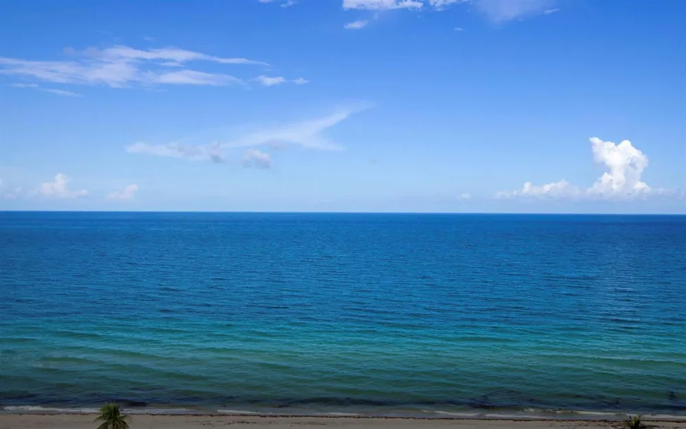 3101 Bayshore Drive #604 Fort Lauderdale, FL 33304