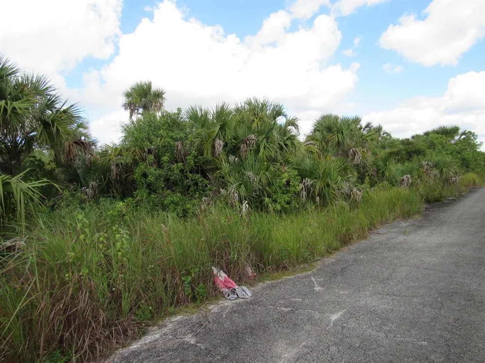 3362 Anhinga Avenue SW Palm Bay, FL 32908