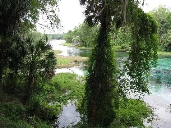 1 SW Lot1 158th Court ocala, FL 34481