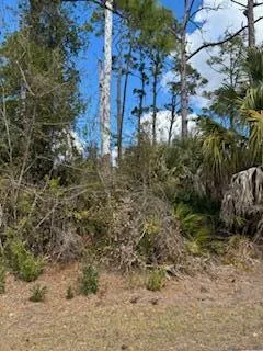 Eldron Avenue North Port, FL 34286