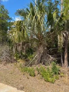 Eldron Avenue North Port, FL 34286