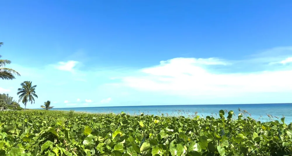 50 Celestial Way #305 Juno Beach, FL 33408