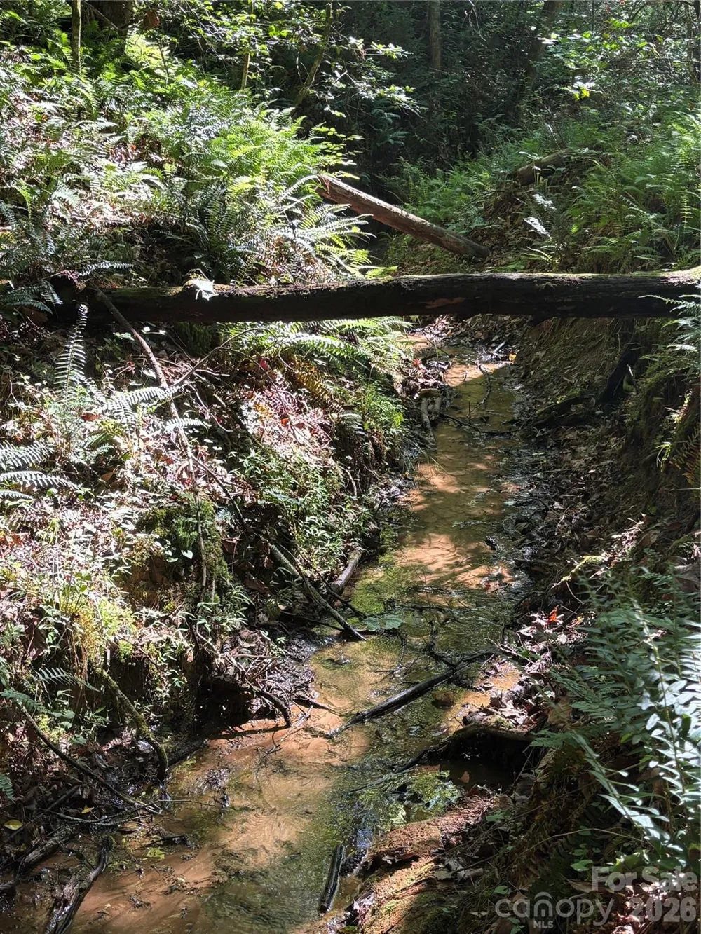 000 Stillwater Road Boomer, NC 28606