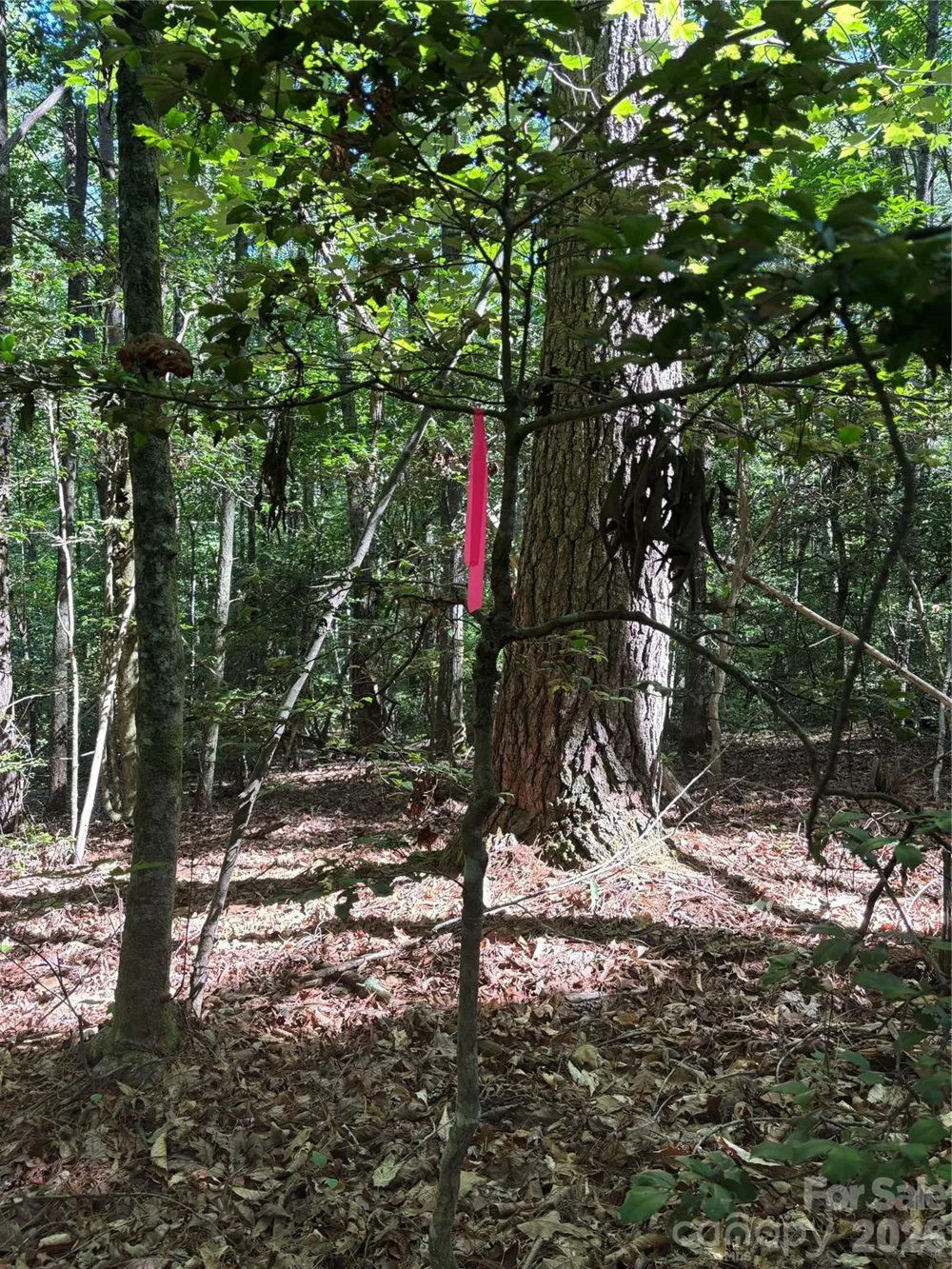 000 Stillwater Road Boomer, NC 28606