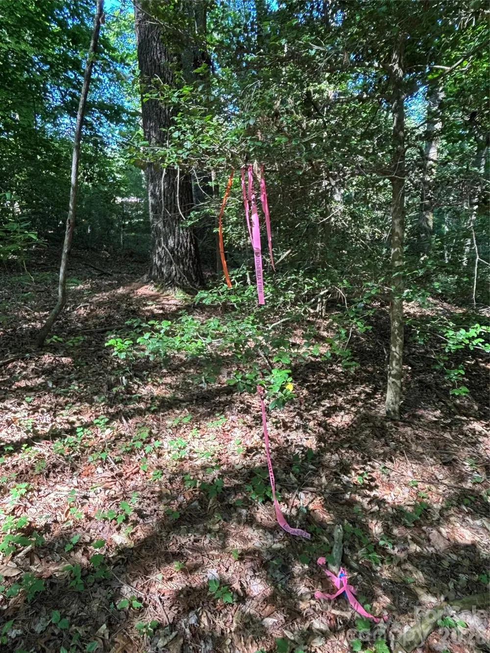 000 Stillwater Road Boomer, NC 28606