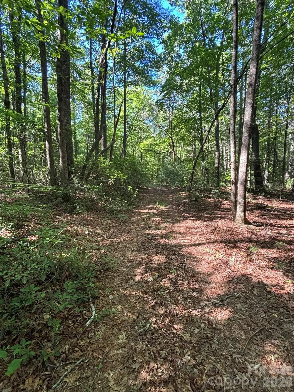 000 Stillwater Road Boomer, NC 28606