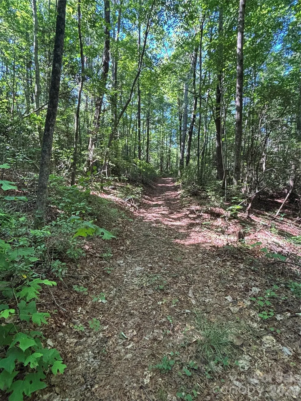 000 Stillwater Road Boomer, NC 28606