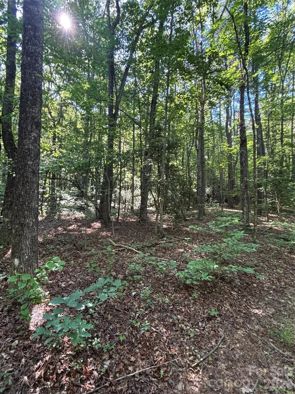 000 Stillwater Road Boomer, NC 28606
