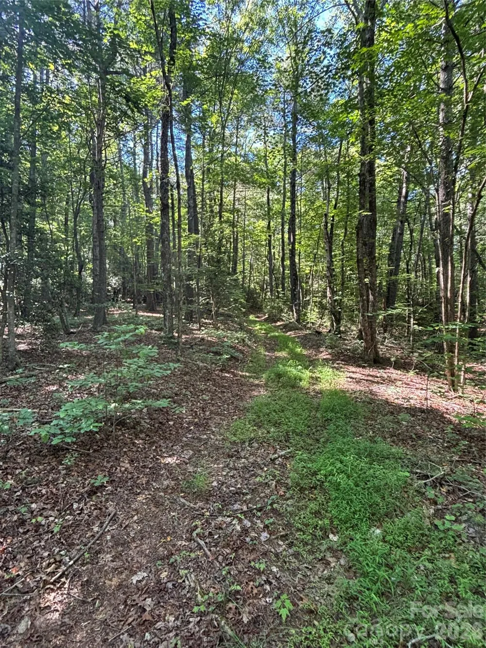 000 Stillwater Road Boomer, NC 28606