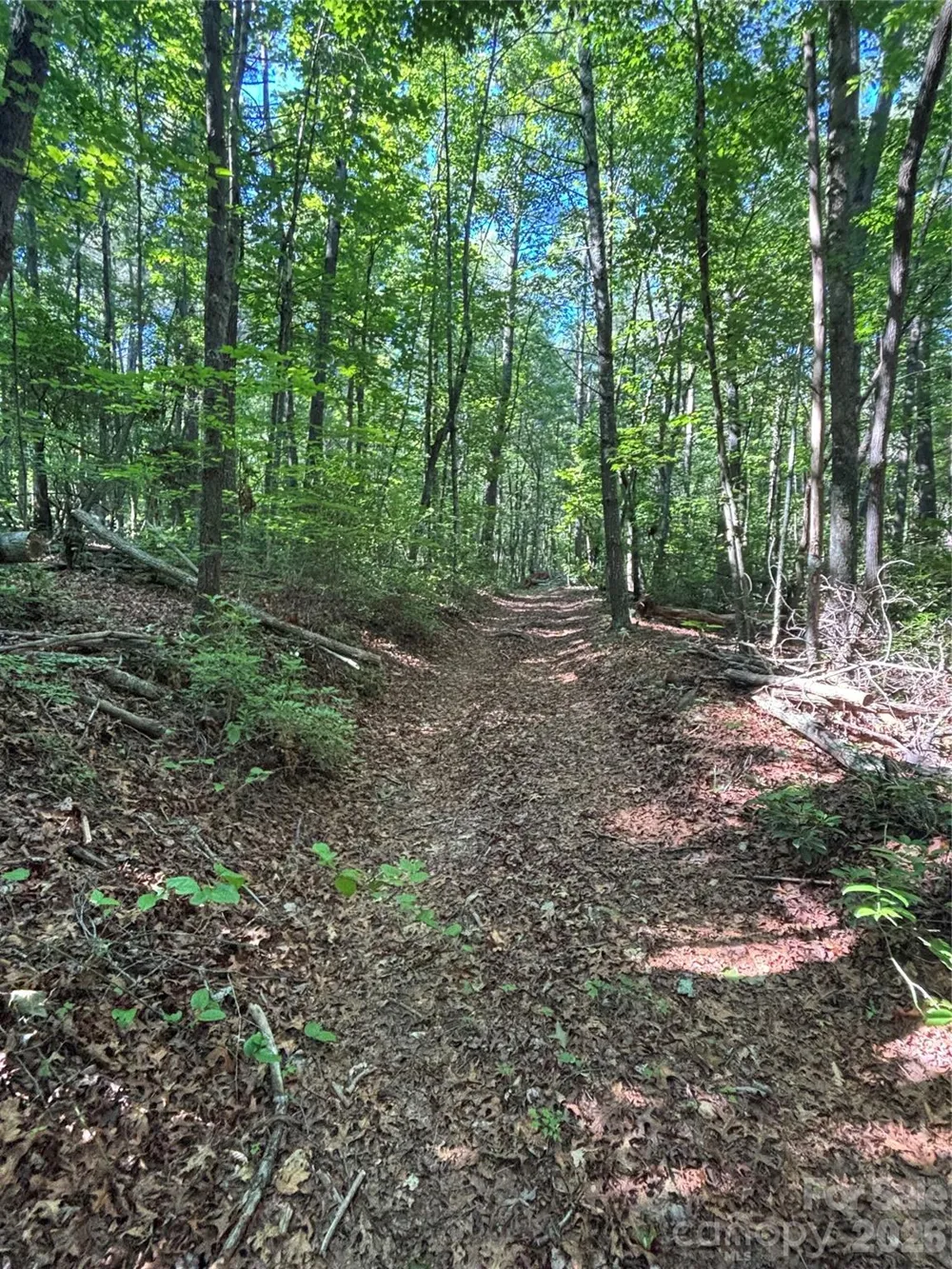 000 Stillwater Road Boomer, NC 28606